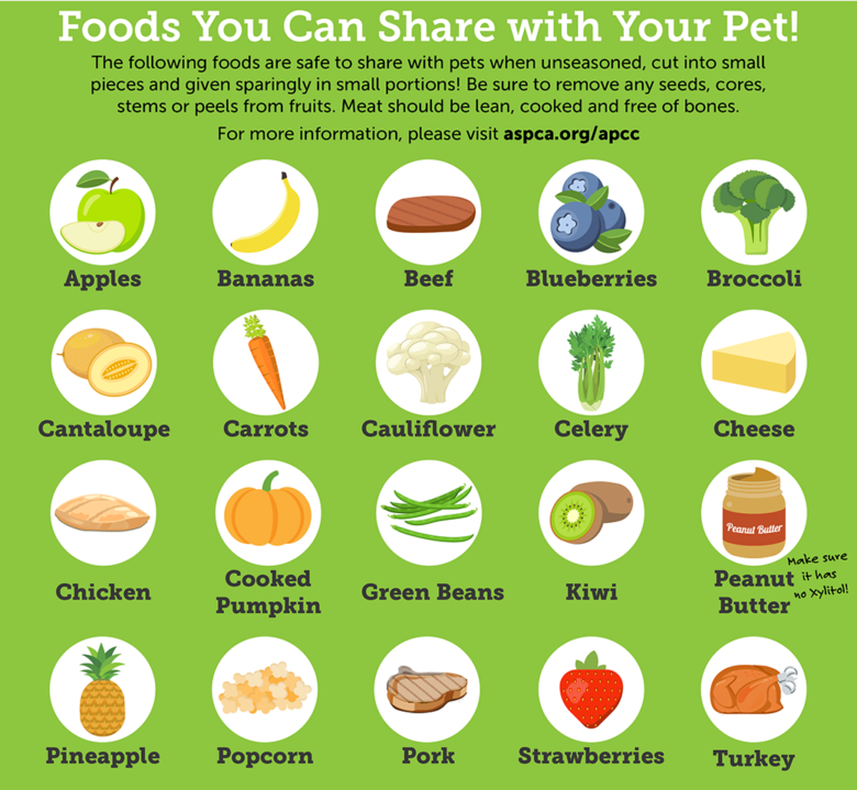 Human foods that dogs can eat